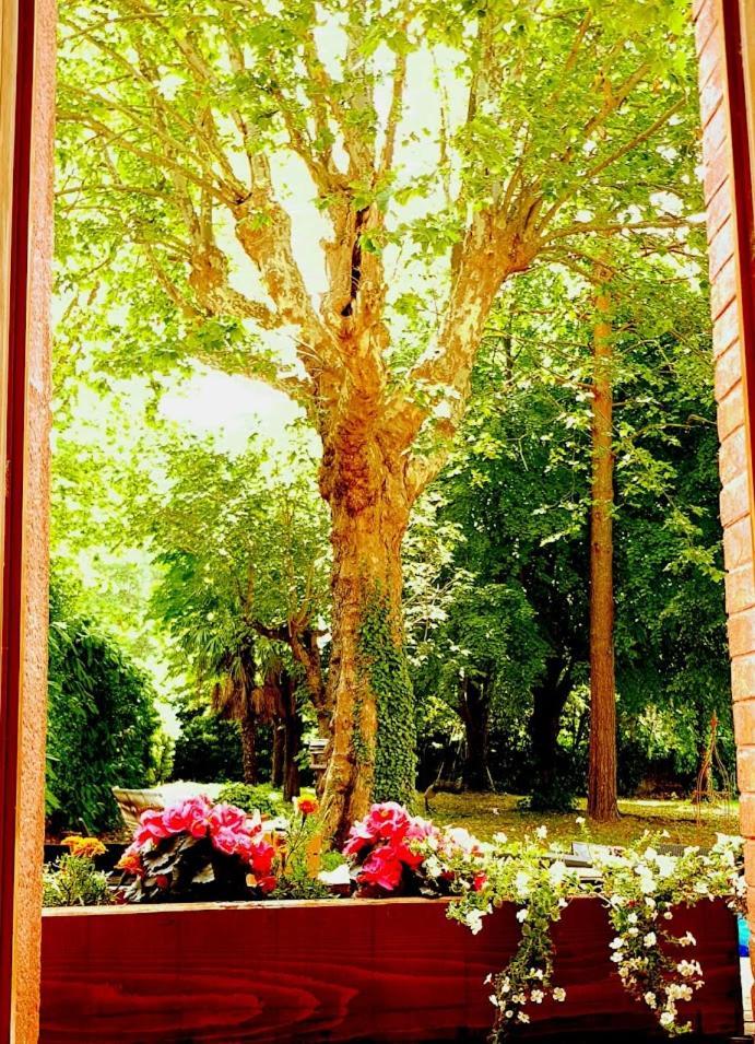La Scierie Bed & Breakfast Quillan Exterior foto
